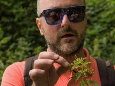 Travar Momčilo otkrio recept, ovaj ČAJ treba da piju svi koji su imali UPALU PLUĆA!