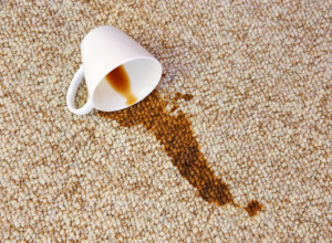 kafa
