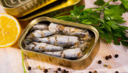 sardine
